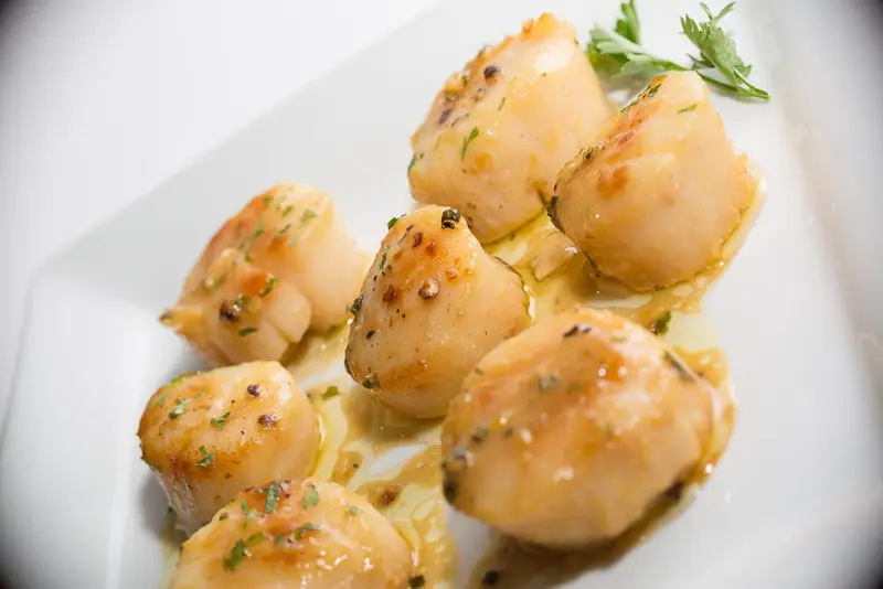 Close-up of golden seared scallops